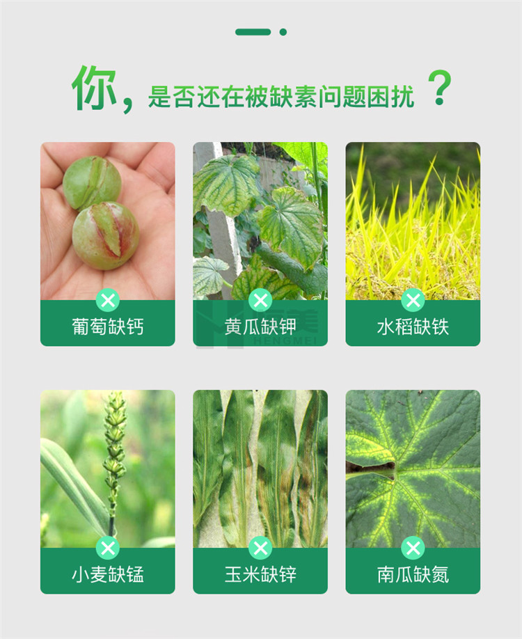 高智能土壤養(yǎng)分檢測儀怎么選？
